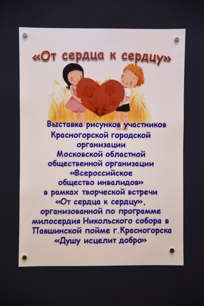 Акция «Душу исцелит добро» в Красногорске