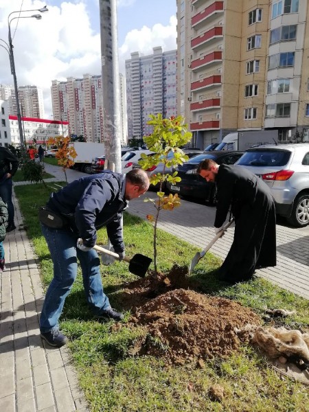 Акция «Наш лес. Посади свое дерево» в Красногорске