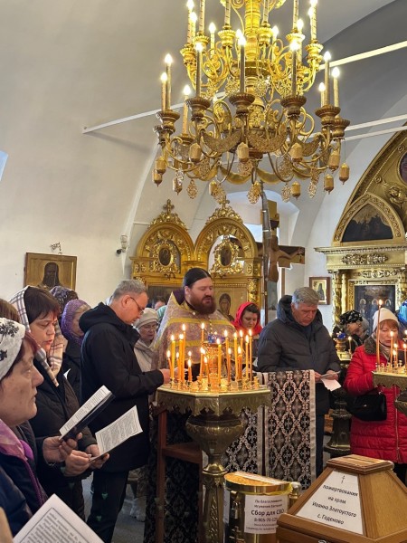Паломническая поездка в Годеново