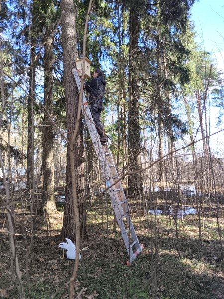 Скоречники вокруг Максимовского храма